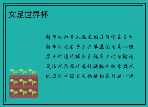 女足世界杯
